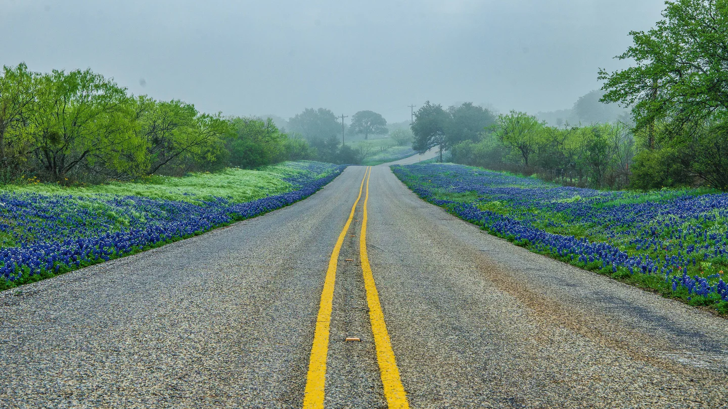 Best US Grand Prix for a Supercar Tour | Austin, Miami or Las Vegas